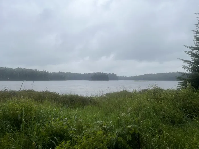 Bourne Pond Tenting Area 2