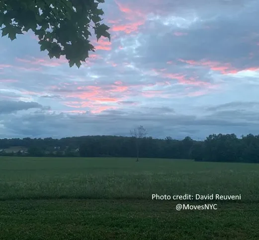 The Mellow Submarine Camp 6