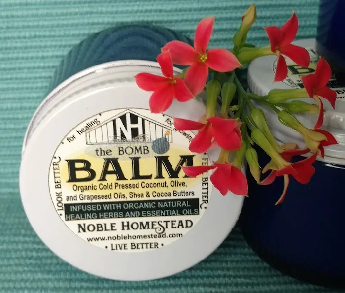 Noble Homestead & Camps 3