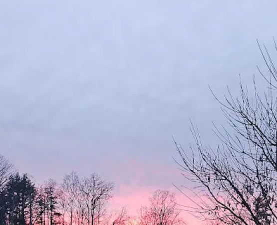 Noble Homestead & Camps