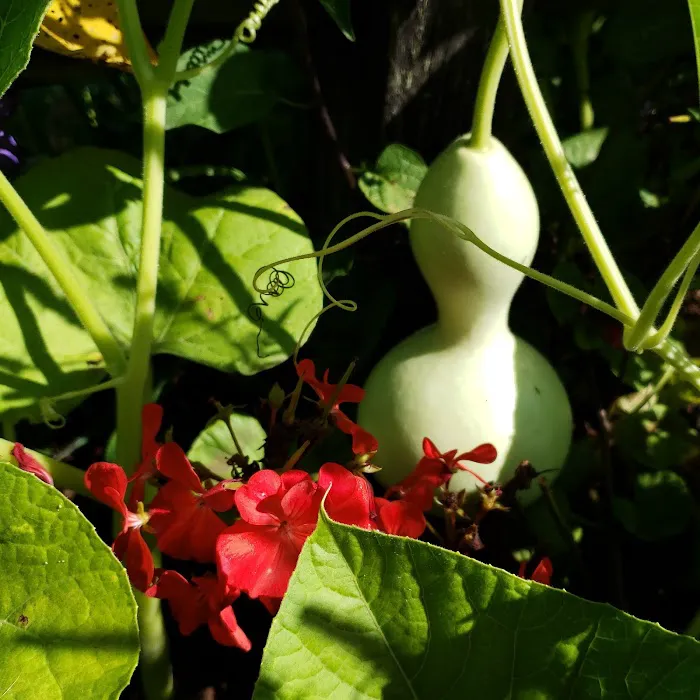 Noble Homestead & Camps 6