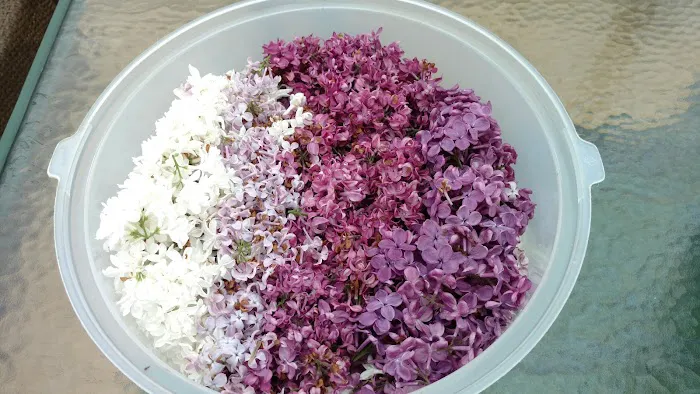 Noble Homestead & Camps 1