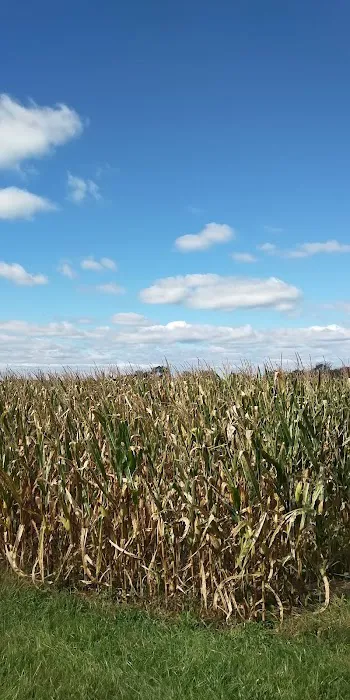 Cavalry Heights Inc 0