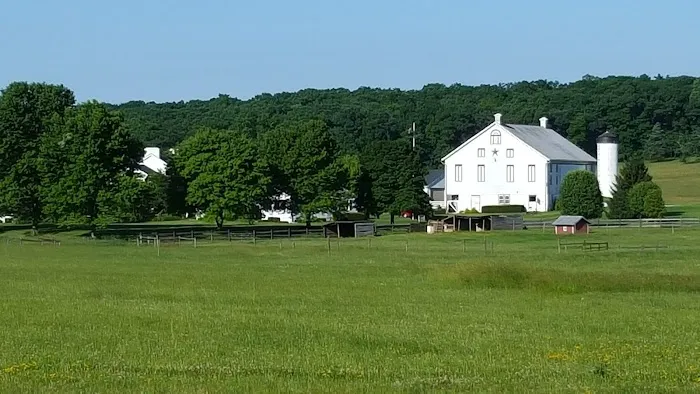 McMillan Woods Youth Campground 4