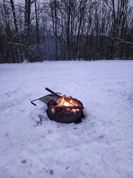 Rothrock State Forest Campsite #6 7