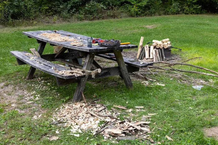 Rothrock State Forest Campsite #6 0