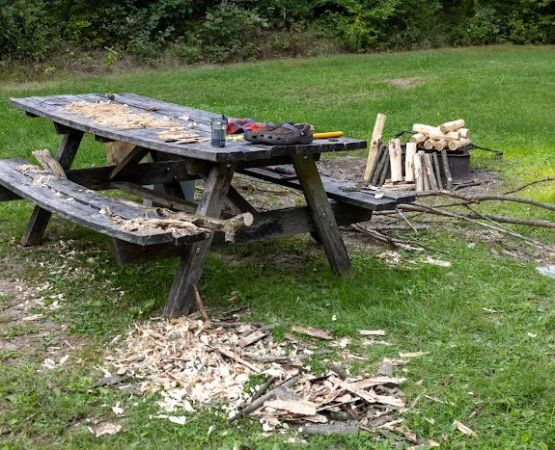 Rothrock State Forest Campsite #6