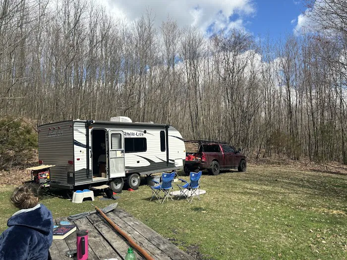 Rothrock State Forest Campsite #6 8