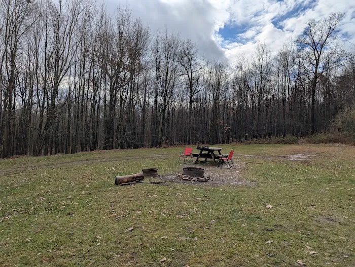 Rothrock State Forest Campsite #6 9