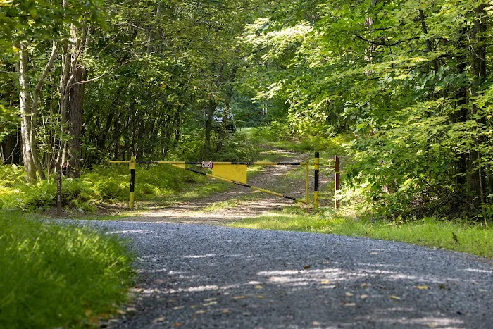 Rothrock State Forest Campsite #6 1