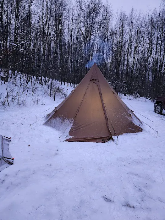 Rothrock State Forest Campsite #6 2
