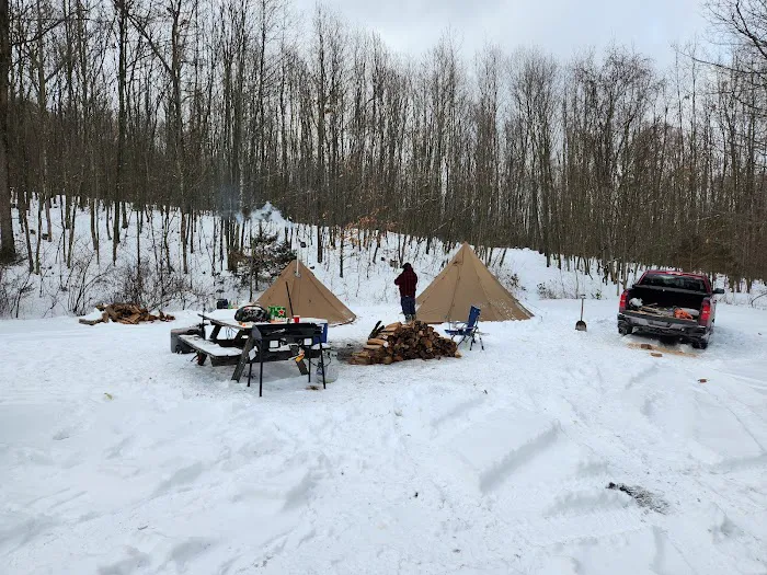 Rothrock State Forest Campsite #6 5