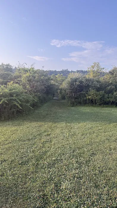 Russell P. Letterman Campground 6