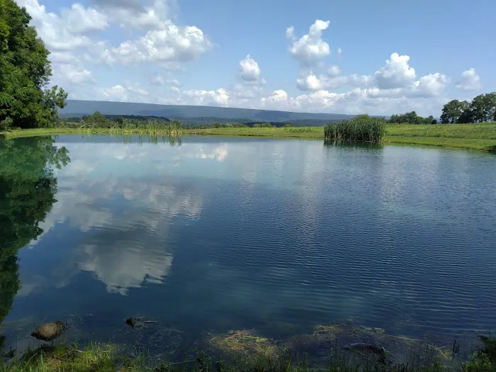 Shoop's Country Campground 6