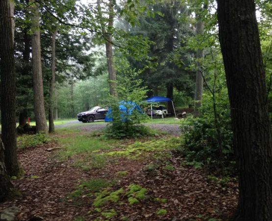 Tuscarora State Forest Campsite 9