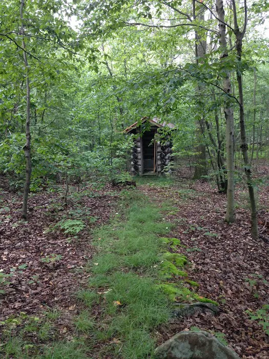 Tuscarora State Forest Campsite 9 4