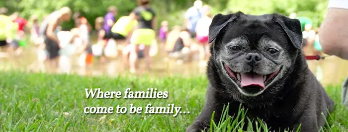 Paradise Stream Family Campground 6