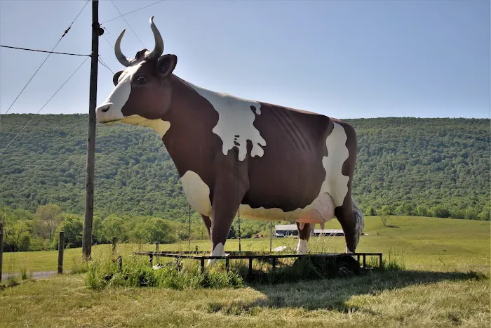Big Cow 7