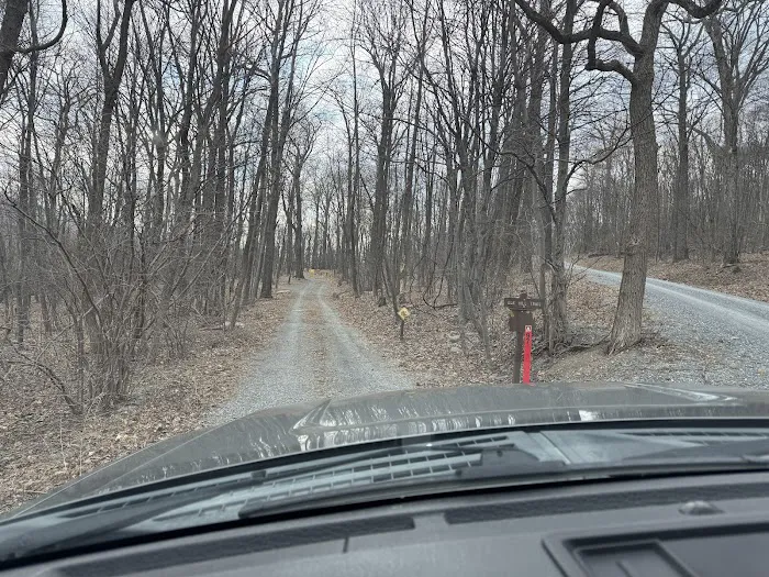 Tuscarora State Forest Campsite 097 0