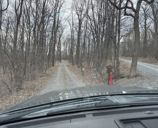 Tuscarora State Forest Campsite 097