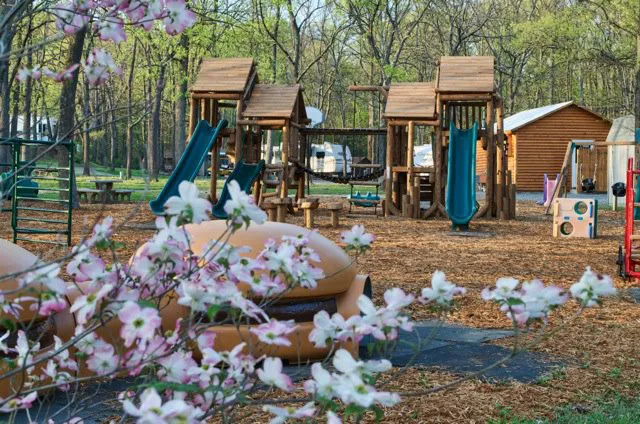 Dogwood Acres Campground Inc 6