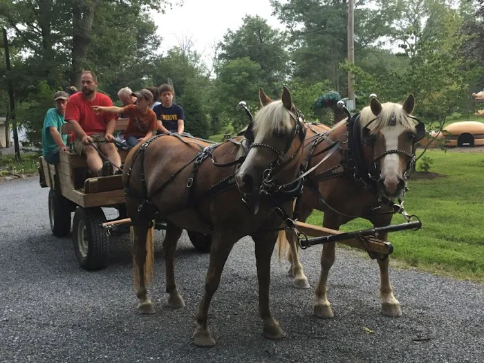 Dogwood Acres Campground Inc 1