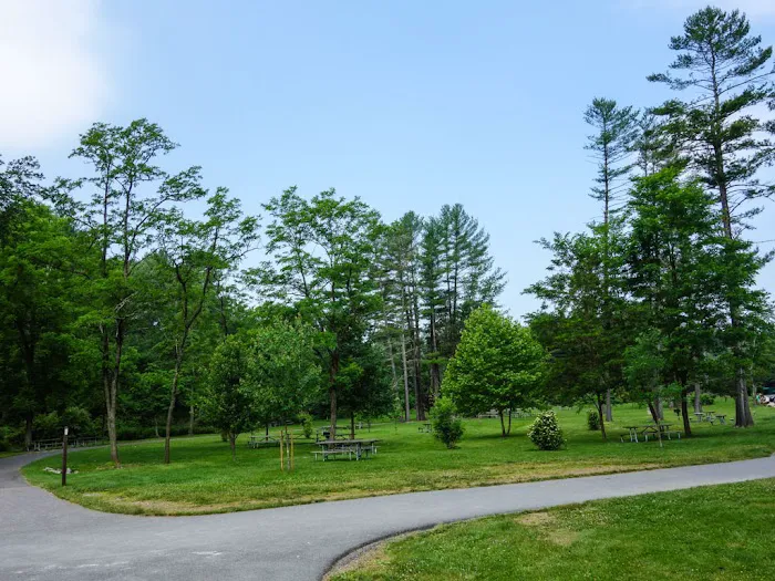 Pinegrove furnace, group camping area 6