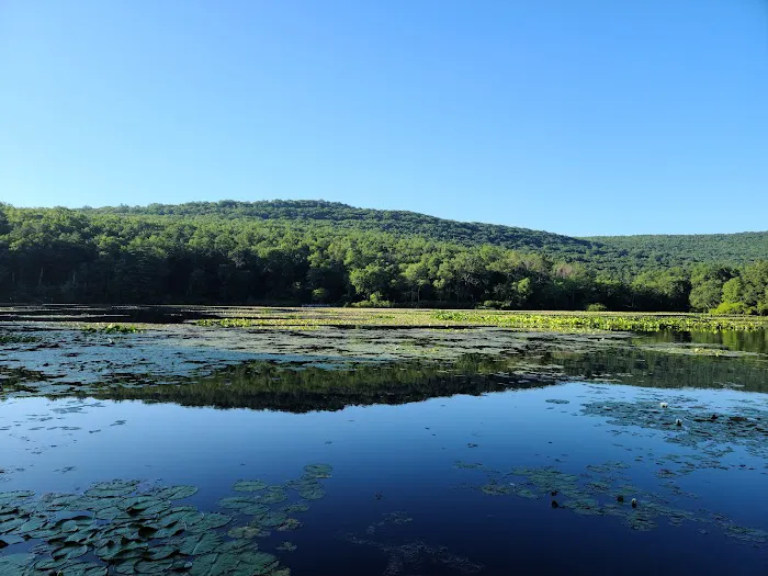 Pinegrove furnace, group camping area 3