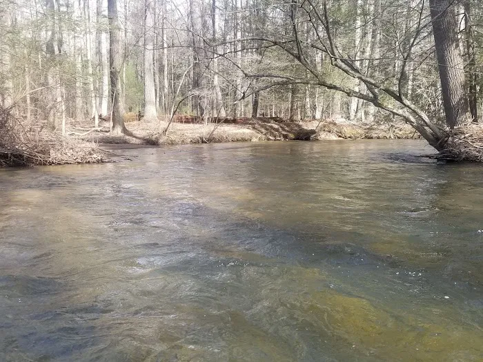 Pinegrove furnace, group camping area 7