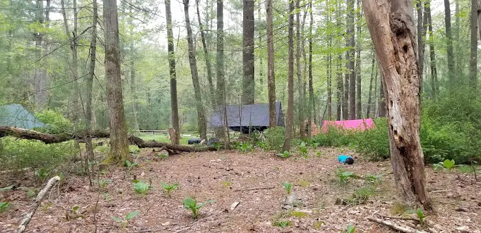 Pinegrove furnace, group camping area 8