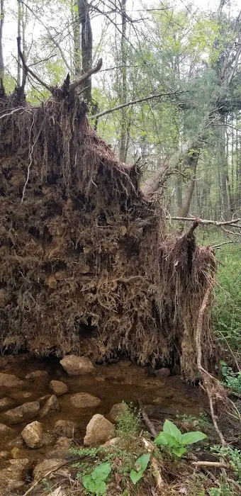 Pinegrove furnace, group camping area 9