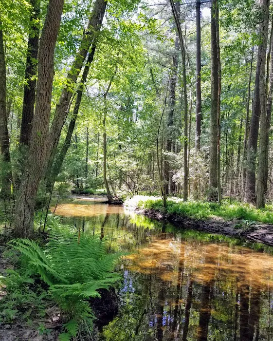 Charcoal Hearth Campground 8