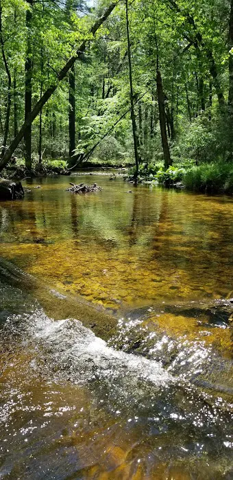 Charcoal Hearth Campground 5