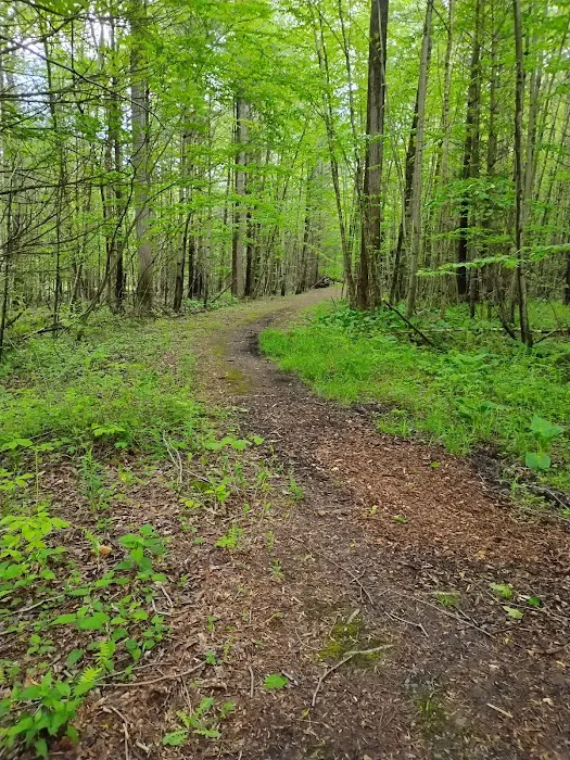 Charcoal Hearth Campground 9
