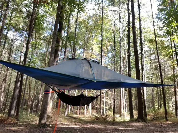 Primitive Campsite #5 5