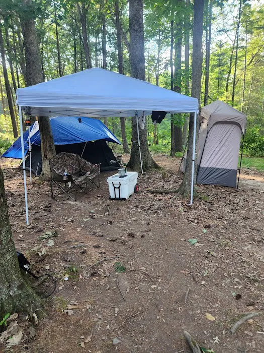 Primitive Campsite #5 4
