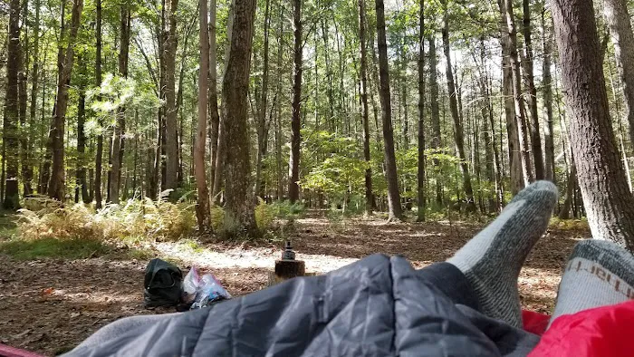 Primitive Campsite #5 6