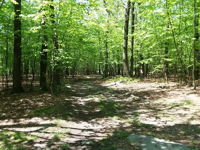 Primitive Campsite #5 2