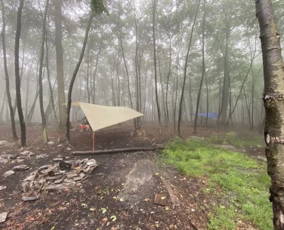 Primitive Campsite #4