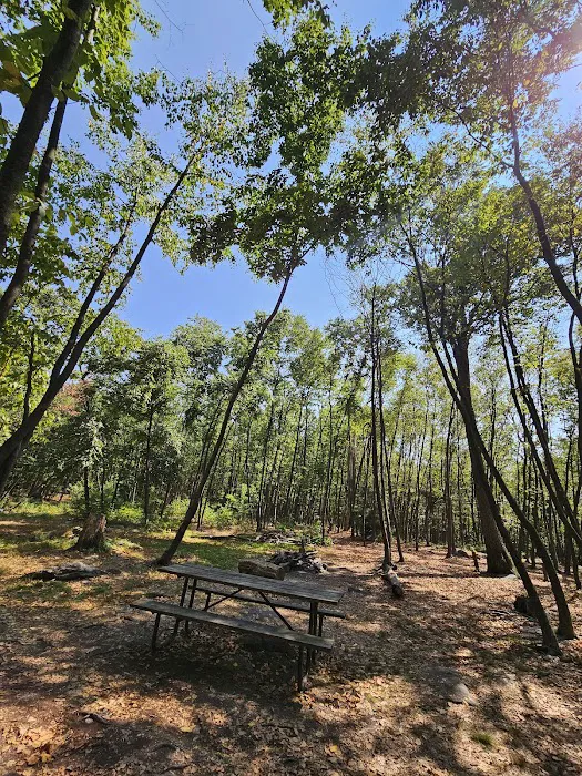 Primitive Campsite #4 9