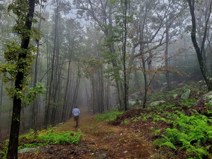 Primitive Campsite #4 7