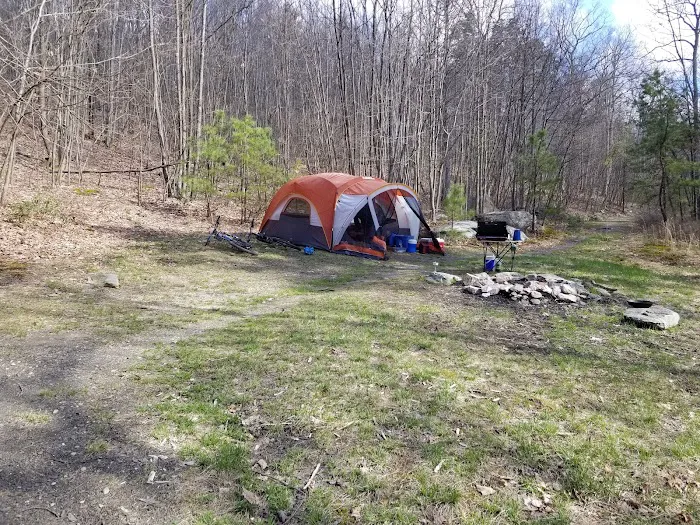 Primitive Campsite #7 2