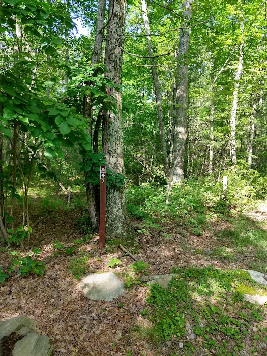 Primitive Campsite #7 3