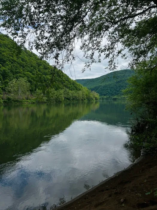 Green Acres Glampground 3