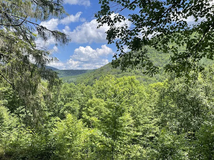 Ole Bull State Park 5