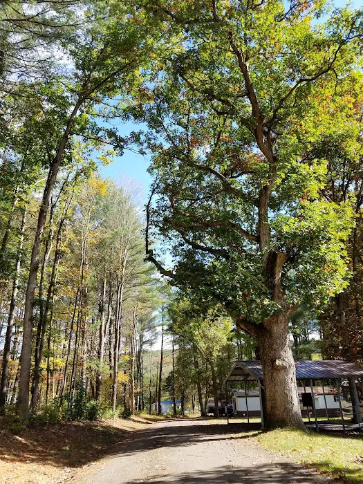 Hidden Forest Homes 5