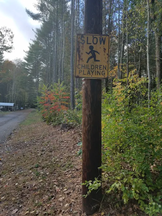 Hidden Forest Homes 2