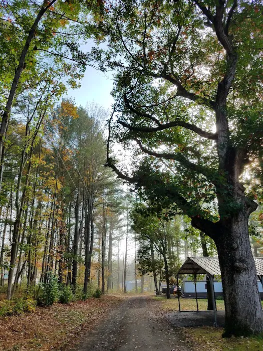 Hidden Forest Homes 7