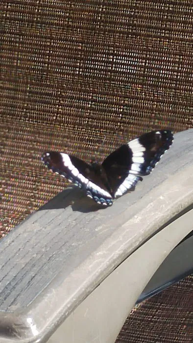 Cardinal Campground 0