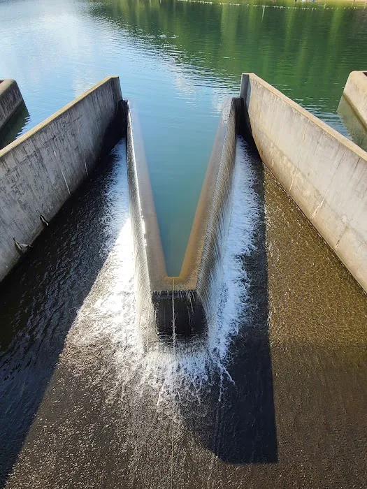 Lyman Run Lower Campgrounds 0